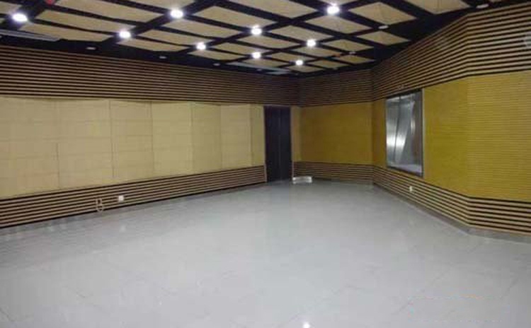 四川資陽大會議室空間吸聲體聲學工程-2 四川資陽大會議室空間吸聲體聲學工程-2
